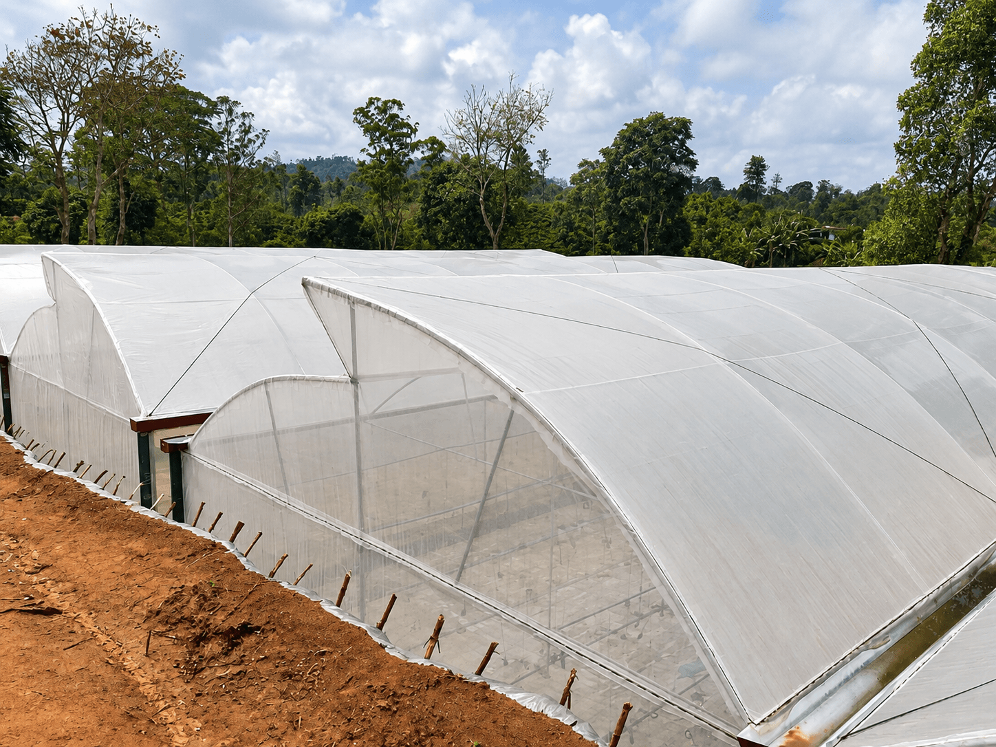 Wohlearth greenhouse with peaked poly covers beside tilled ground