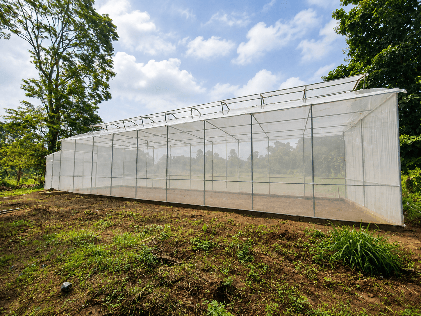 Net-covered greenhouse structure beside the farm trees