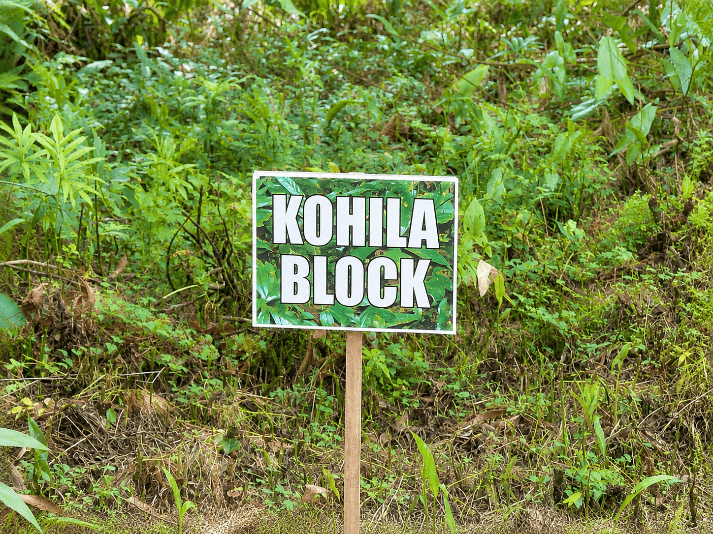 Kohila block marked on the farm